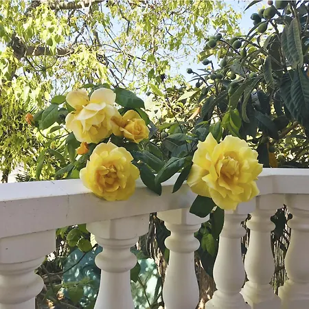 Les Moreres De Sitges, Mediterranean-style Family Escape Villa *